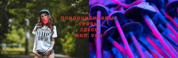 шишки Алексеевка