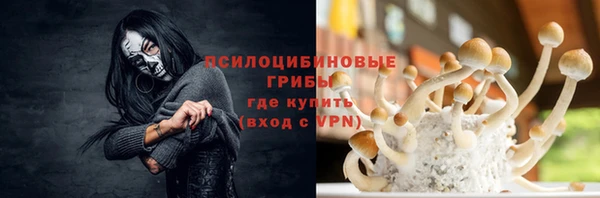 гашик Алзамай