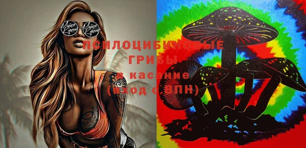 стафф Алексин