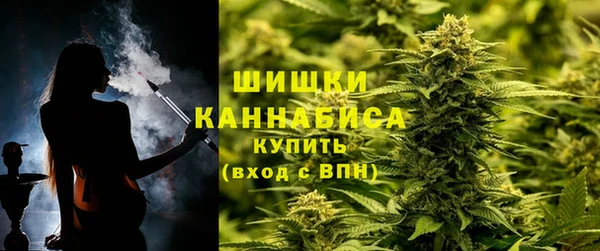 гашик Алзамай