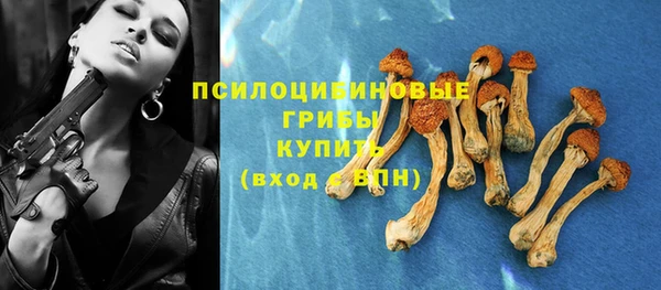 гашик Алзамай