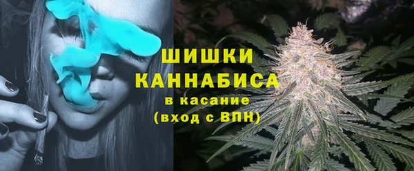 шишки Алексеевка