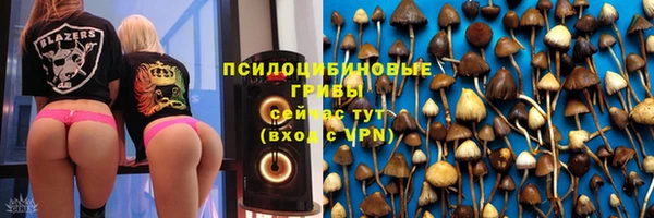 стафф Алексин