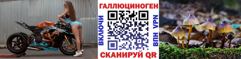 сколько стоит  darknet клад  Псилоцибиновые грибы ЛСД  Люберцы 