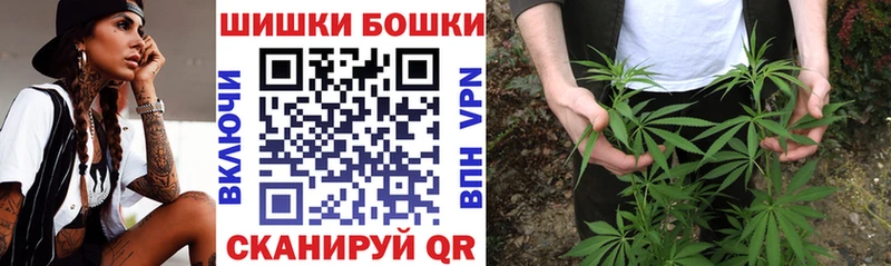 купить  цена  Люберцы  ссылка на мегу вход  Бошки марихуана сатива 